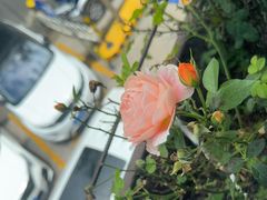 -怡得饭庄·30年老店·宋大妈昆明菜