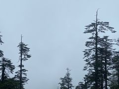 -瓦屋山景区