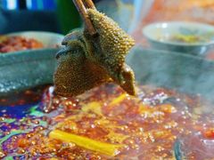 -星鸿社重庆老火锅