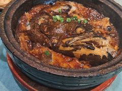 -海派美食·家宴海鲜青岛菜·石锅鲽鱼头(东方城店)