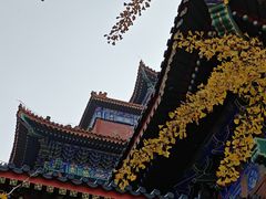 -大明幻境第一城