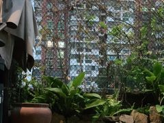 -肴约·花园式餐厅(湖里店)