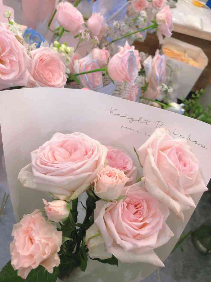 knight rainbow 花艺-"好久没有来大众了,也好久没有上来写评论,.