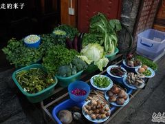 门口的菜-苍洱春饭店