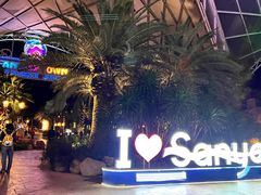 -三亚海昌梦幻海洋不夜城