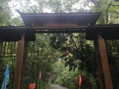 -鼎湖山风景区