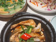 -大榕树下顺德菜(融创茂店)