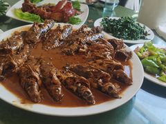 -金台阶鱼馆(于桥水库店)