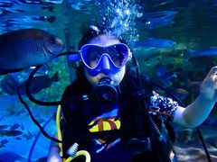 -太平洋海底世界