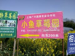 -小鱼草莓采摘园农家乐·小鱼餐厅