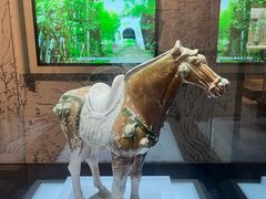 -衢州市博物馆