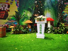 -苏州乐园森林水世界