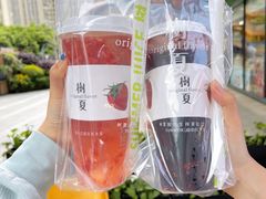 生榨桑葚-树夏(鹭洲里店)