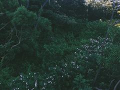 -景山公园