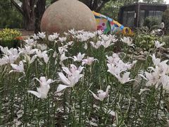 -无锡梅园公园