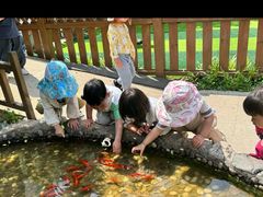 -蒙蒙狮蒙台梭利儿童之家