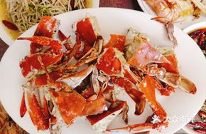 Freshly Caught Large Swimming Crab