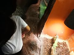 -上海昆虫博物馆