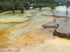 -黄龙山原始森林景区