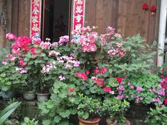 -海窝子古镇