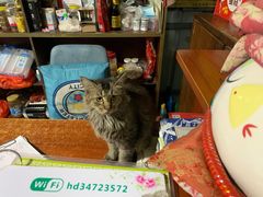 -鸿渡渔庄·特色鸭咀鱼