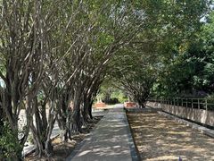 -广州白云机场雅高铂尔曼大酒店