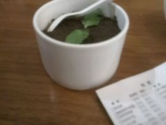-院落创意菜