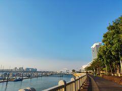 -五缘湾湿地公园