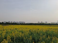 -汉长安城未央宫国家考古遗址公园