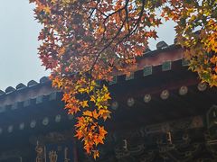 -香山公园
