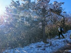 -安吉龙王山风景区