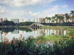 -南宁南湖公园
