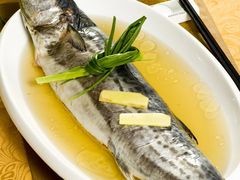 雪菜汁马家鱼-神舟古船茶餐厅