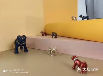 坚持到最后胜利！马上就可以去做新衣服了 加油！