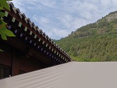 -佛慧山