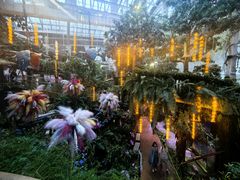 -正佳雨林生态植物园