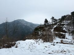 -四明山国家森林公园