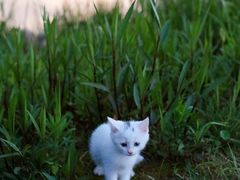 -洋湖国家湿地公园