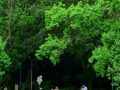 -西湖风景区-江洋畈生态公园