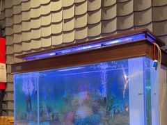 -破瓦寒窑·地摊烤羊排