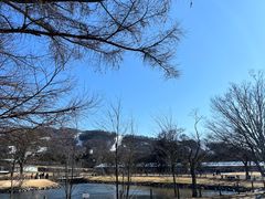 -轻井泽王子购物广场