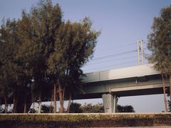 -宝安西湾红树林湿地公园