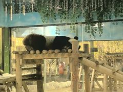 -栾川竹海野生动物园