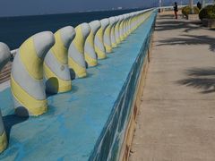 -海花岛旅游度假区