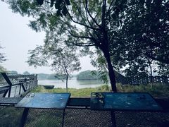 -海珠湖公园