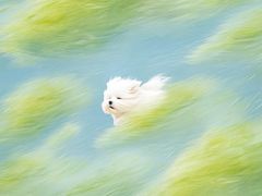 -北京清河万象汇