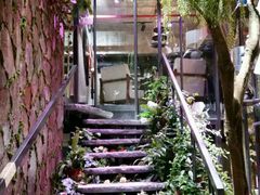 -范设计花园餐酒咖·中西餐·咖啡厅·酒馆