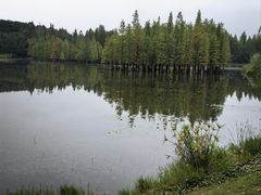 -白鹭湾湿地公园