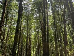 -同里国家湿地公园