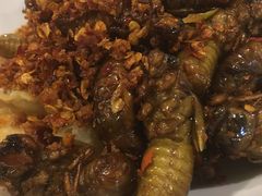 -园林美食城·本土农家菜(杨和镇店)